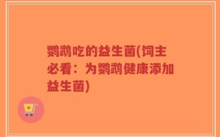 鹦鹉吃的益生菌(饲主必看：为鹦鹉健康添加益生菌)