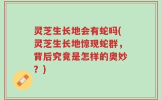 灵芝生长地会有蛇吗(灵芝生长地惊现蛇群，背后究竟是怎样的奥妙？)