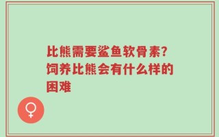 比熊需要鲨鱼软骨素？饲养比熊会有什么样的困难