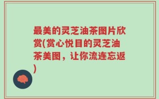 最美的灵芝油茶图片欣赏(赏心悦目的灵芝油茶美图，让你流连忘返)