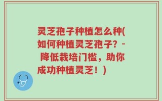 灵芝孢子种植怎么种(如何种植灵芝孢子？- 降低栽培门槛，助你成功种植灵芝！)
