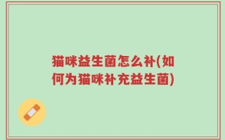 猫咪益生菌怎么补(如何为猫咪补充益生菌)