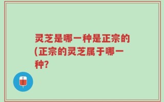 灵芝是哪一种是正宗的(正宗的灵芝属于哪一种？