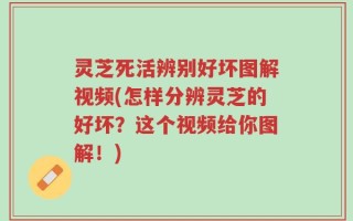 灵芝死活辨别好坏图解视频(怎样分辨灵芝的好坏？这个视频给你图解！)
