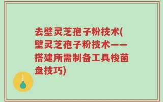 去壁灵芝孢子粉技术(壁灵芝孢子粉技术——搭建所需制备工具梭菌盘技巧)