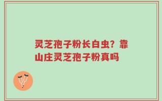 灵芝孢子粉长白虫？靠山庄灵芝孢子粉真吗