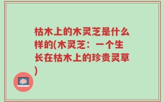 枯木上的木灵芝是什么样的(木灵芝：一个生长在枯木上的珍贵灵草)