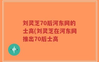刘灵芝70后河东网的士高(刘灵芝在河东网推出70后士高