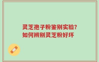 灵芝孢子粉鉴别实验？如何辨别灵芝粉好坏
