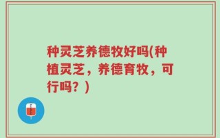 种灵芝养德牧好吗(种植灵芝，养德育牧，可行吗？)