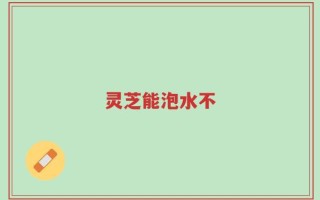 灵芝能泡水不