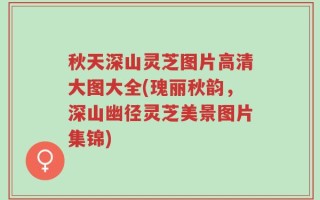 秋天深山灵芝图片高清大图大全(瑰丽秋韵，深山幽径灵芝美景图片集锦)