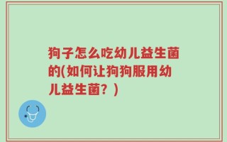 狗子怎么吃幼儿益生菌的(如何让狗狗服用幼儿益生菌？)