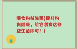 喂食狗益生菌(提升狗狗健康，给它喂食这些益生菌即可！)