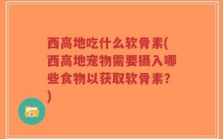 西高地吃什么软骨素(西高地宠物需要摄入哪些食物以获取软骨素？)