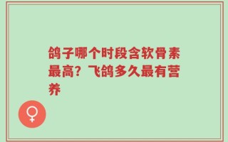 鸽子哪个时段含软骨素最高？飞鸽多久最有营养