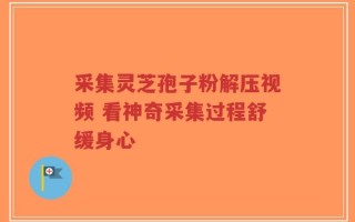 采集灵芝孢子粉解压视频 看神奇采集过程舒缓身心