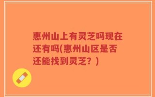 惠州山上有灵芝吗现在还有吗(惠州山区是否还能找到灵芝？)