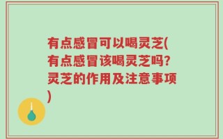 有点感冒可以喝灵芝(有点感冒该喝灵芝吗？灵芝的作用及注意事项)