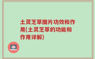 土灵芝草图片功效和作用(土灵芝草的功能和作用详解)