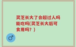 灵芝长大了会超过人吗能吃吗(灵芝长大后可食用吗？)
