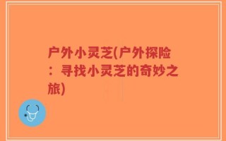 户外小灵芝(户外探险：寻找小灵芝的奇妙之旅)