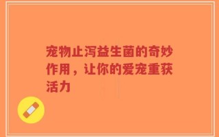 宠物止泻益生菌的奇妙作用，让你的爱宠重获活力