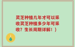 灵芝种植几年才可以采收灵芝种植多少年可采收？生长周期详解！)