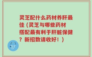 灵芝配什么药材养肝最佳 (灵芝与哪些药材搭配最有利于肝脏保健？新招数请收好！)