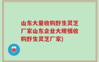 山东大量收购野生灵芝厂家山东企业大规模收购野生灵芝厂家)