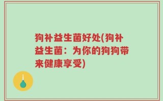 狗补益生菌好处(狗补益生菌：为你的狗狗带来健康享受)