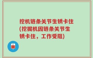 挖机链条关节生锈卡住(挖掘机因链条关节生锈卡住，工作受阻)