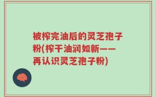 被榨完油后的灵芝孢子粉(榨干油润如新——再认识灵芝孢子粉)