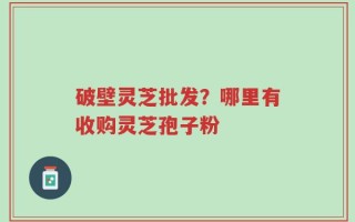 破壁灵芝批发？哪里有收购灵芝孢子粉