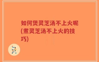如何煲灵芝汤不上火呢(煮灵芝汤不上火的技巧)