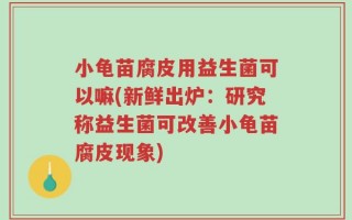 小龟苗腐皮用益生菌可以嘛(新鲜出炉：研究称益生菌可改善小龟苗腐皮现象)