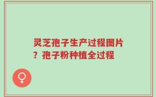 灵芝孢子生产过程图片？孢子粉种植全过程