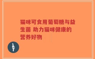 猫咪可食用葡萄糖与益生菌 助力猫咪健康的营养好物