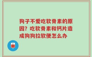 狗子不爱吃软骨素的原因？吃软骨素和钙片造成狗狗拉软便怎么办