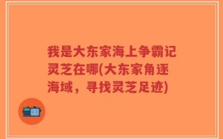 我是大东家海上争霸记灵芝在哪(大东家角逐海域，寻找灵芝足迹)