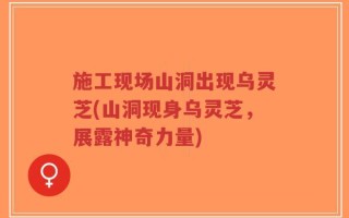 施工现场山洞出现乌灵芝(山洞现身乌灵芝，展露神奇力量)