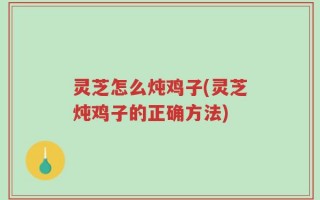 灵芝怎么炖鸡子(灵芝炖鸡子的正确方法)