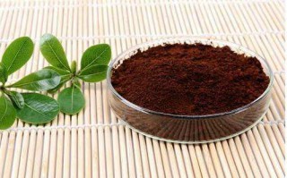 灵芝孢子粉的种植环境会影响有效成分