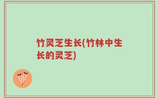 竹灵芝生长(竹林中生长的灵芝)