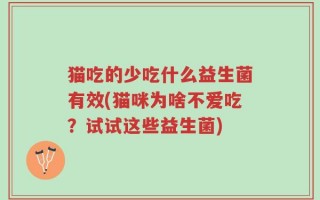 猫吃的少吃什么益生菌有效(猫咪为啥不爱吃？试试这些益生菌)