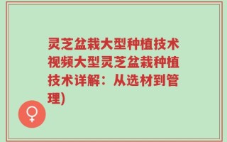 灵芝盆栽大型种植技术视频大型灵芝盆栽种植技术详解：从选材到管理)