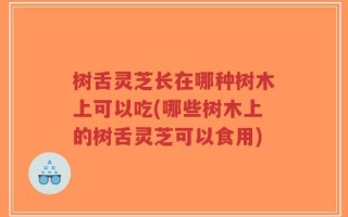 树舌灵芝长在哪种树木上可以吃(哪些树木上的树舌灵芝可以食用)