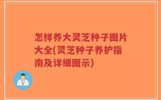 怎样养大灵芝种子图片大全(灵芝种子养护指南及详细图示)