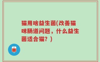 猫用啥益生菌(改善猫咪肠道问题，什么益生菌适合猫？)