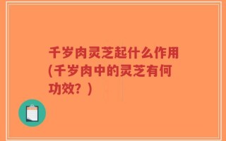 千岁肉灵芝起什么作用(千岁肉中的灵芝有何功效？)